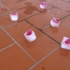 DSCF0284