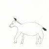 san-vitt-23