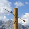 Sentieri d'arte 2022,, Forcella  Lerosa