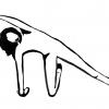 17-pag-1