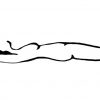 46